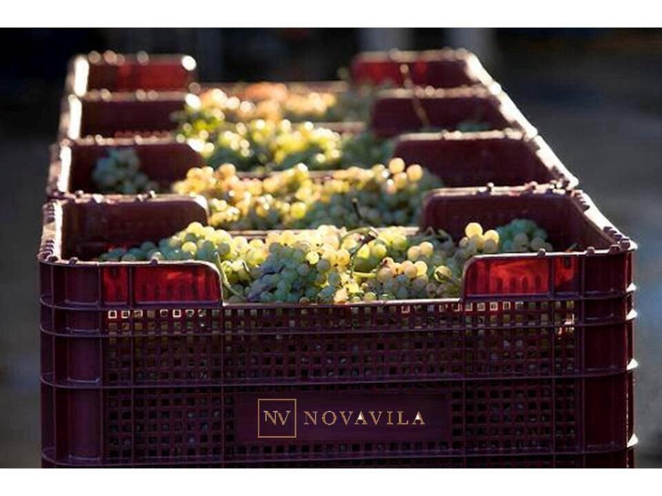 Enoturismo Novavila Rias Baixas Wine Design Meis Exterior foto
